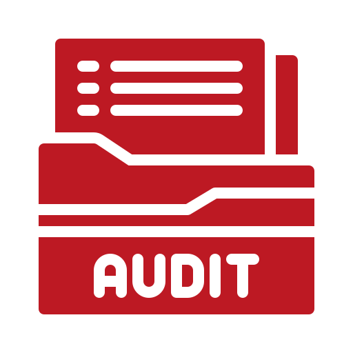 audit